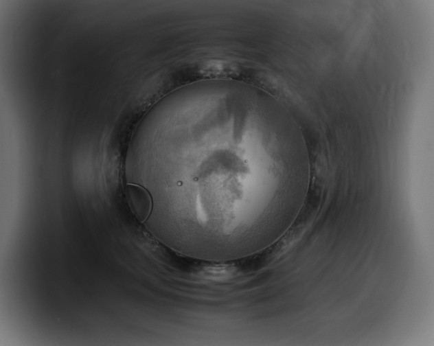 X0000100480659200806131231