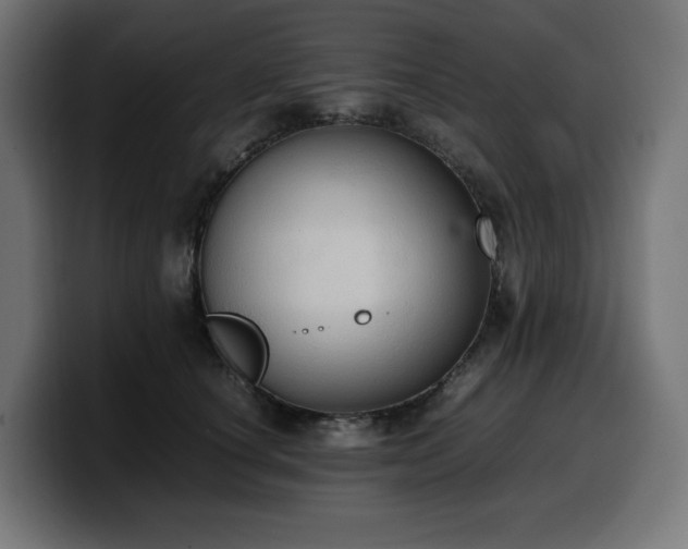 X0000100480660200806131231