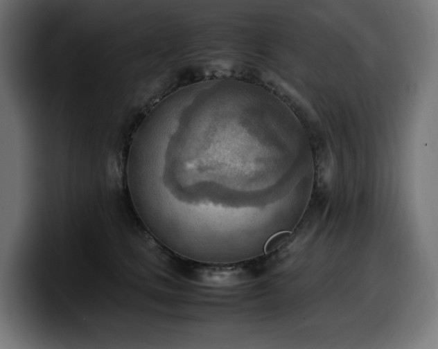 X0000100480661200806131231