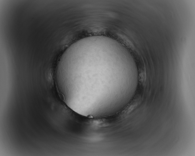 X0000100480662200806131231