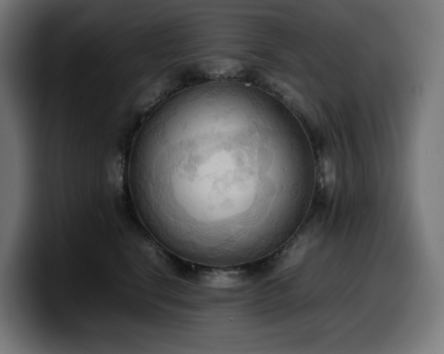 X0000100480664200806131231