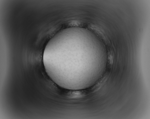 X0000100480665200806131231