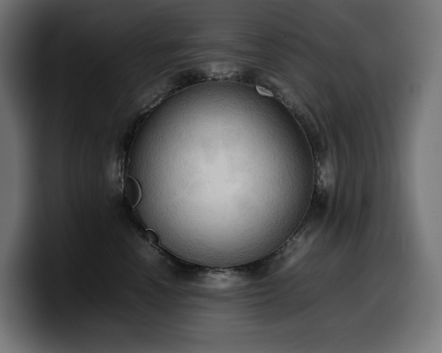 X0000100480666200806131231