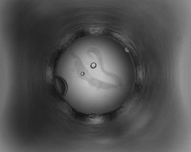 X0000100480667200806131231