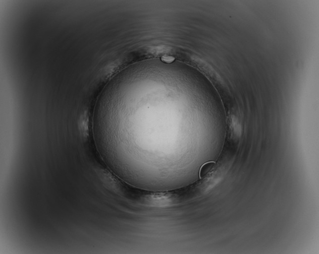 X0000100480668200806131231