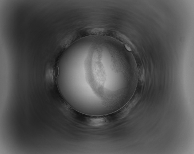 X0000100480669200806131231