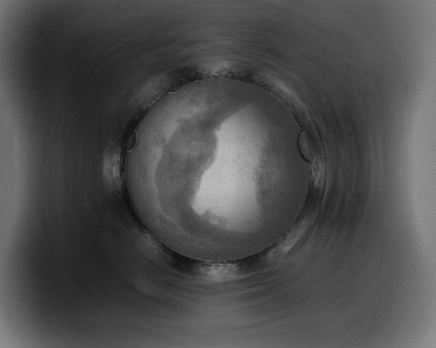 X0000100480670200806131231