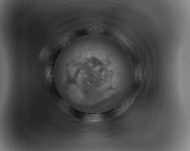 X0000100480671200806131231