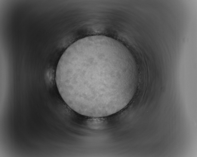 X0000100480672200806131231