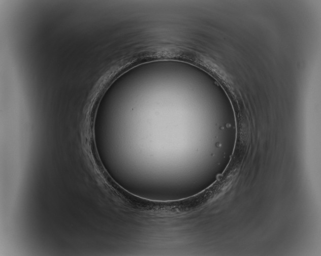 X0000100480673200806131230
