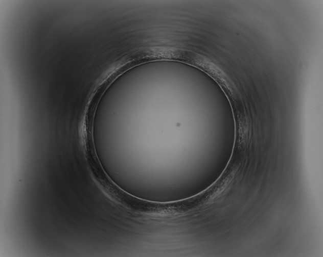 X0000100480674200806131230