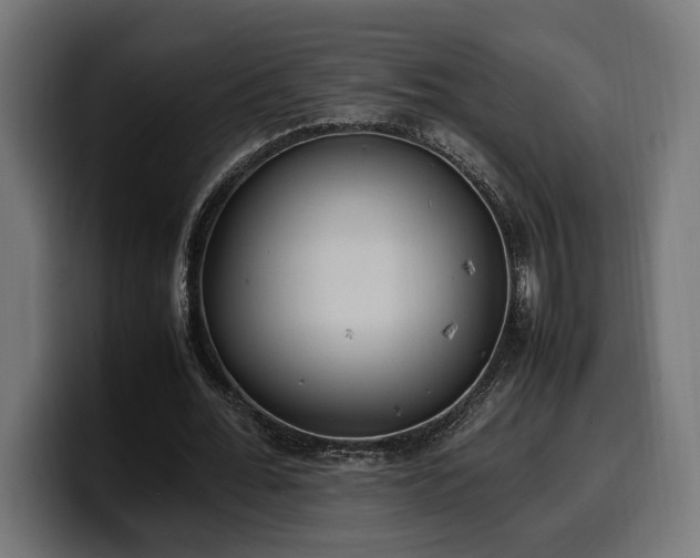 X0000100480676200806131230