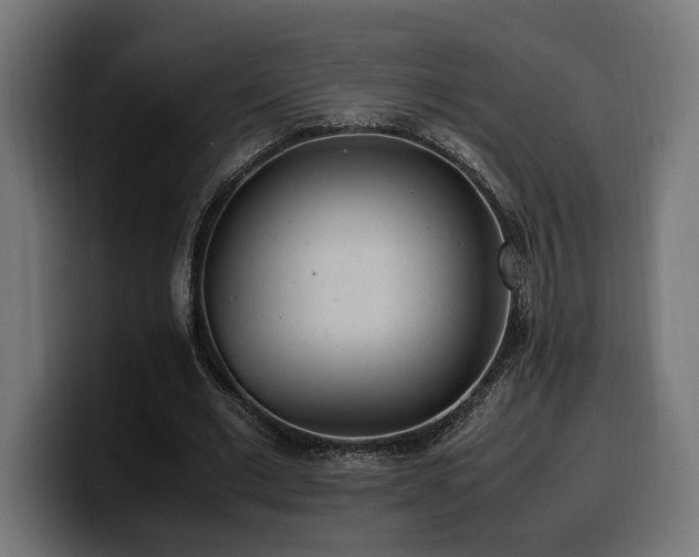 X0000100480677200806131230