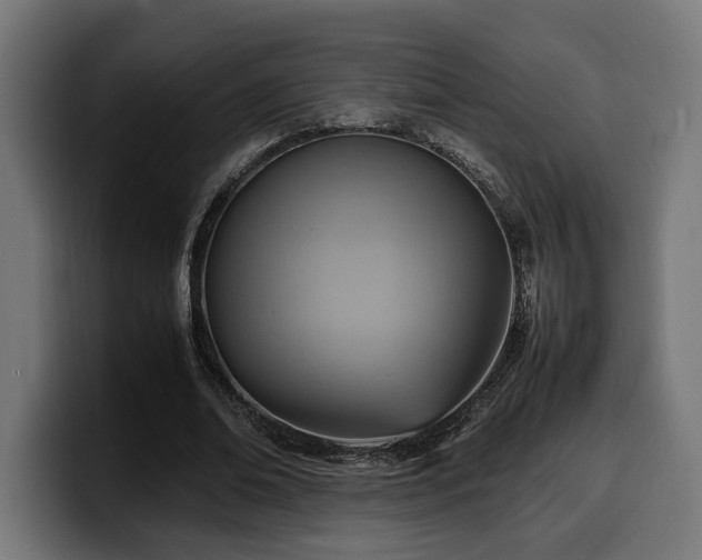 X0000100480678200806131230