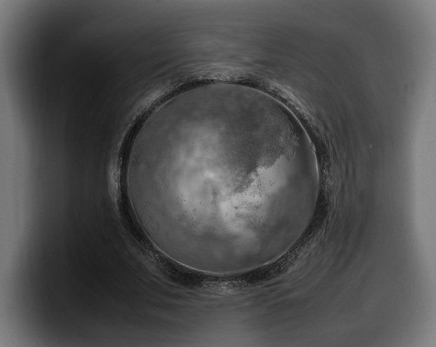 X0000100480679200806131230