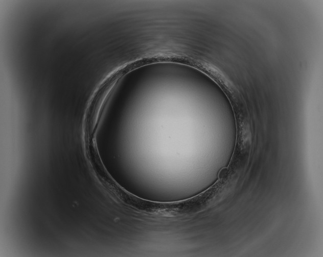 X0000100480680200806131230