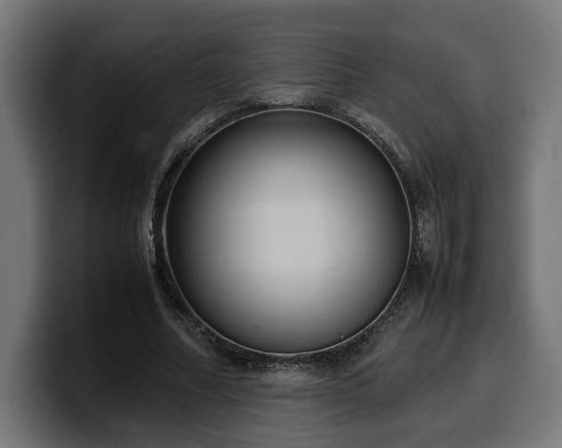 X0000100480682200806131230