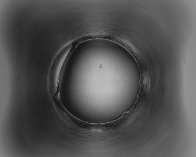 X0000100480684200806131230