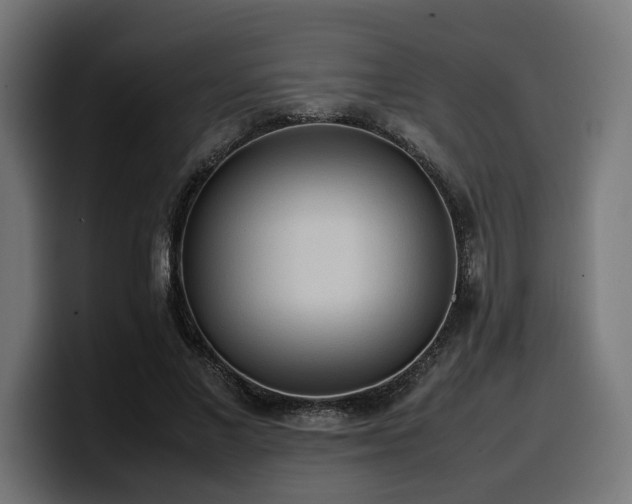 X0000100480685200806131230