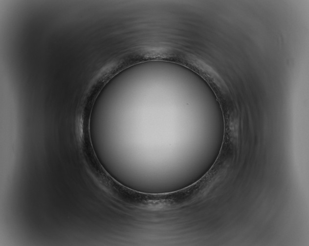 X0000100480686200806131230