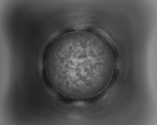 X0000100480687200806131230