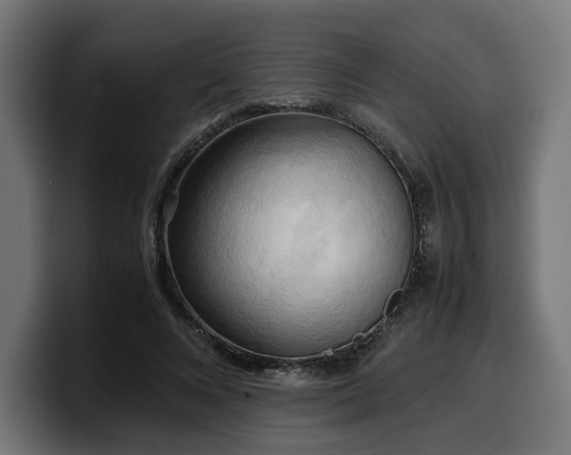 X0000100480688200806131230