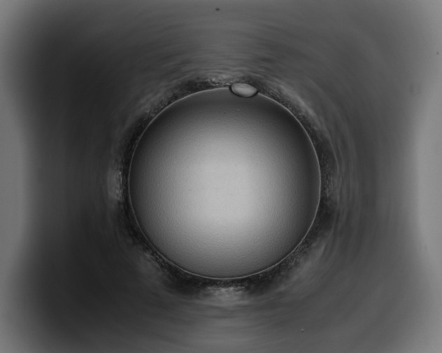 X0000100480689200806131230
