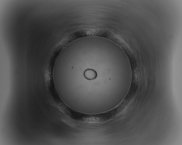 X0000100480691200806131230