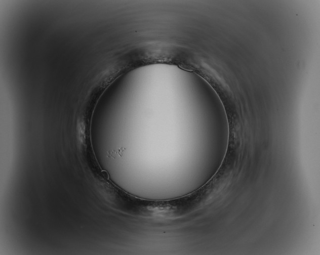 X0000100480693200806131230