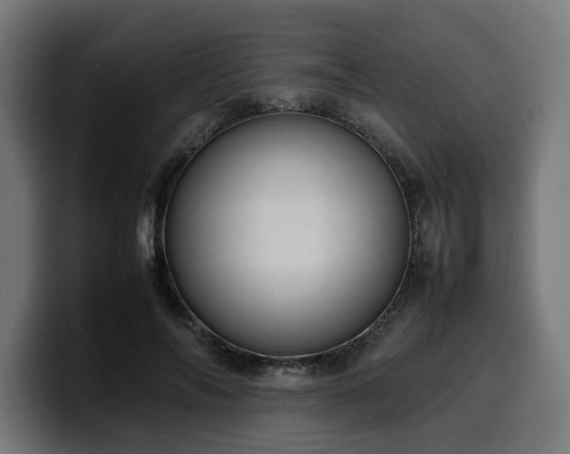 X0000100480694200806131230