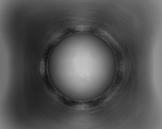 X0000100480696200806131230