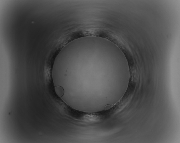 X0000100480699200806131230