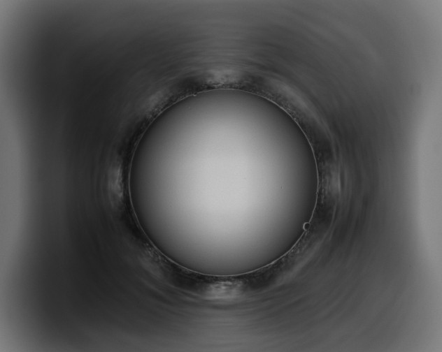 X0000100480700200806131230