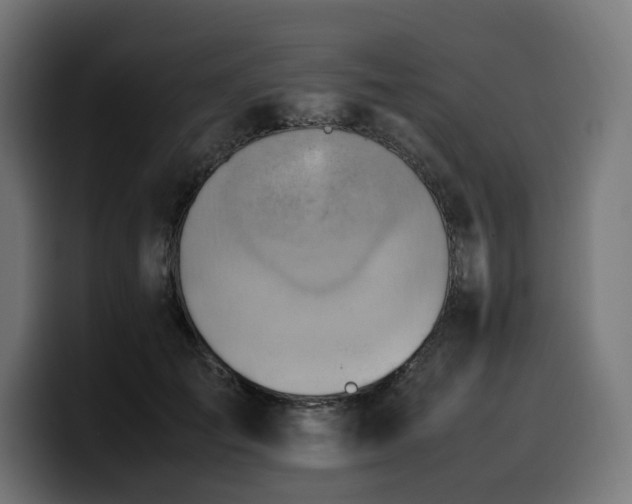 X0000100480701200806131230