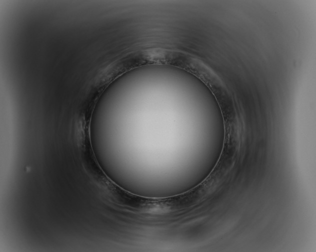 X0000100480702200806131230