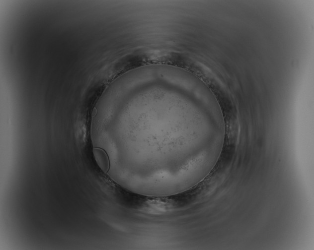 X0000100480703200806131230