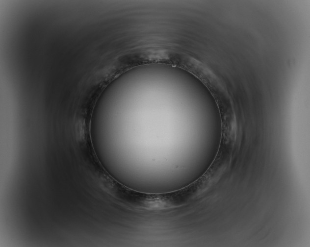 X0000100480704200806131230