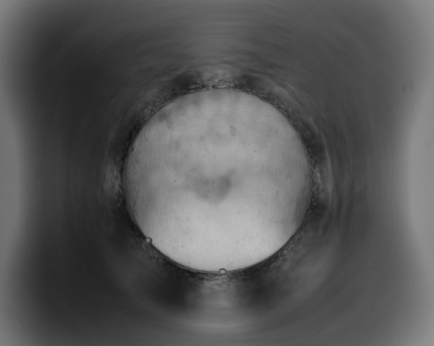 X0000100480705200806131230