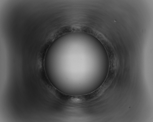 X0000100480706200806131230