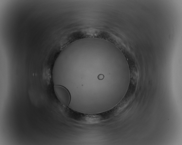X0000100480707200806131230