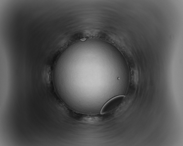 X0000100480712200806131230