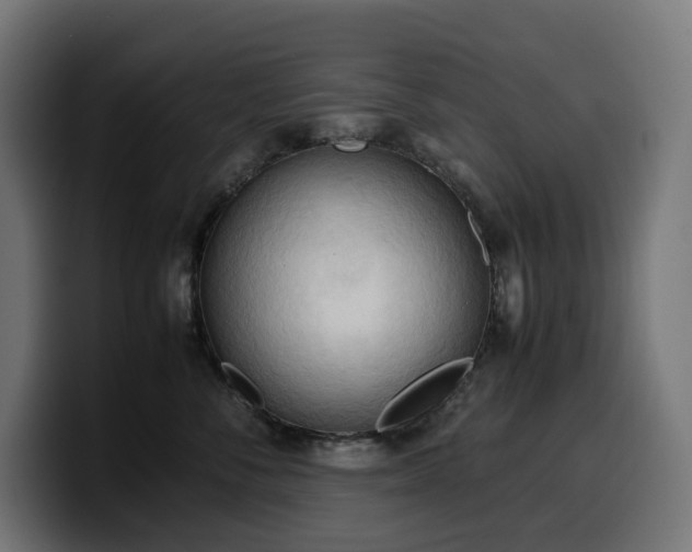 X0000100480716200806131230