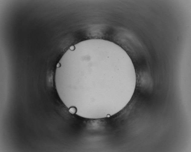 X0000100480717200806131230