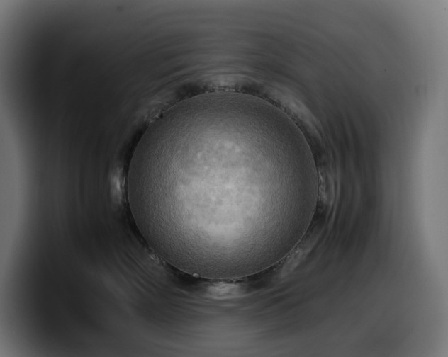 X0000100480718200806131230