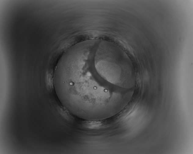 X0000100480719200806131230