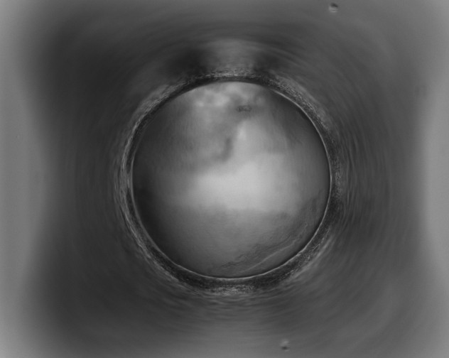X0000100480721200806131229
