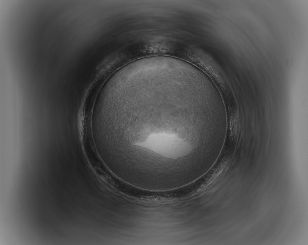 X0000100480722200806131229