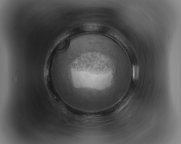 X0000100480723200806131229