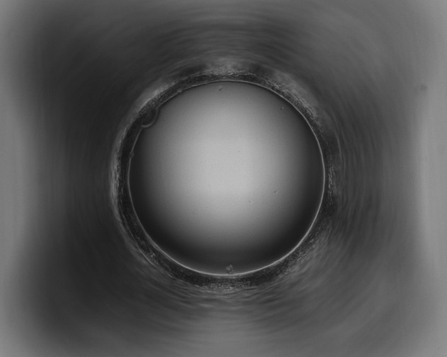 X0000100480724200806131229