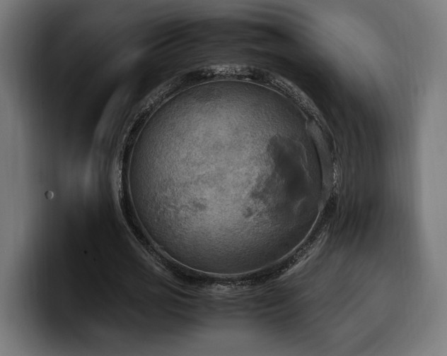 X0000100480725200806131229